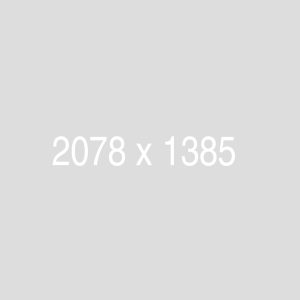 Booking Example With Day Reservation - 이미지 2
